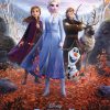 Doeboekje - Frozen II