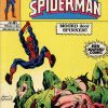De Spektakulaire Spiderman nr. 41 - Moord door spinnen
