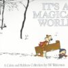 It's A Magical World