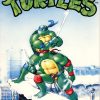 Teenage Mutant Hero Turtles 28 - De zwarte steen