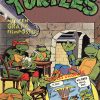 Teenage Mutant Hero Turtles 32 - Een ontmoeting met oude bekenden