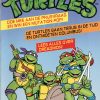 Teenage Mutant Hero Turtles 33 - Dreadmon!