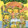 Teenage Mutant Hero Turtles 16