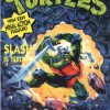 Teenage Mutant Hero Turtles 47 - Vuur aan de hemel