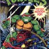 Teenage Mutant Hero Turtles 49