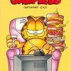 Garfield deel 38 – Ontspant zich (2ehands)