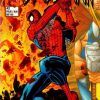Spiderman no. 42 - Ik kan niet (en ik wil niet) maar ik moet / Marvel Comics