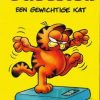 Garfield een gewichtige kat (Pocket)