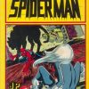 De Spectaculaire Spiderman nr. 13 - De zwarte kat