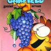 Garfield 21 - Geniet ervan (2ehands)