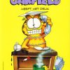 Garfield 26 - Garfield heeft het druk (2ehands)