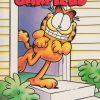 Garfield deel 49 - Garfield zet zijn beste beentje voor (2ehands)