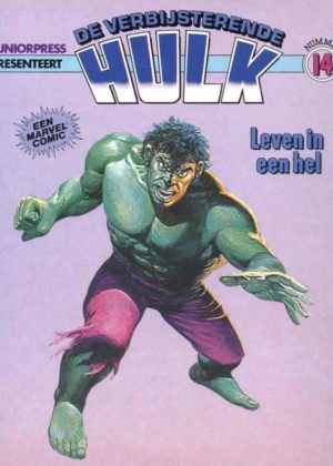 De verbijsterende Hulk 14 - Leven in een hel (Tweedehands)