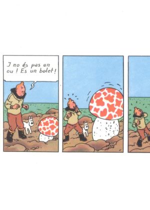 Kuifje wenskaarten (set van 9 stuks) (Spaanstalig)