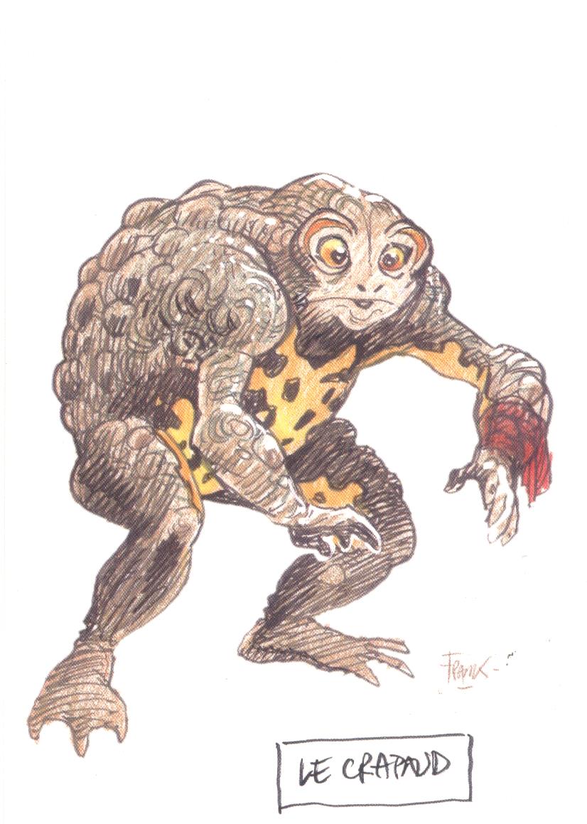 Frank wenskaarten set (6 stuks)