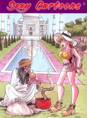 Sexy Cartoons deel 2 (Tweedehands)
