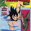 Tarzan 28 - De rivierduivel + De doemtrommen (Tweedehands)