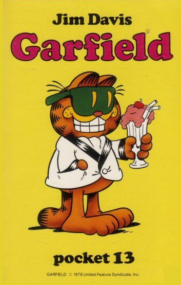 Garfield - Pocket 13