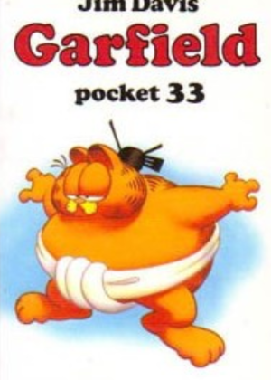 Garfield - Pocket 33