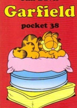 Garfield - Pocket 38