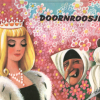 Doornroosje uitvouwboek (Druk 1971) (Tweedehands)